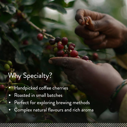 Blue Tokai Coffee Roasters Attikan Estate