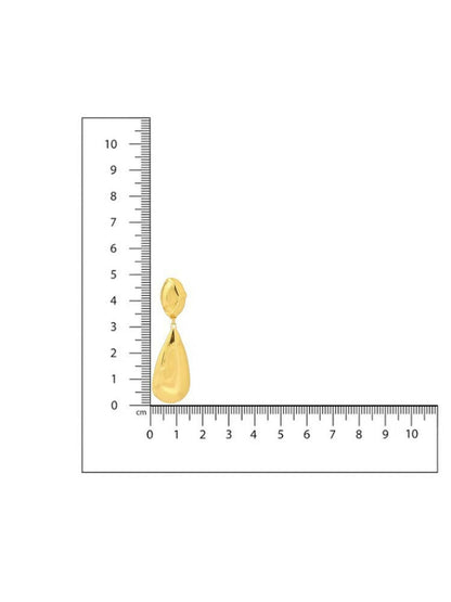 Golden Drop Earrings - Ruby Raang