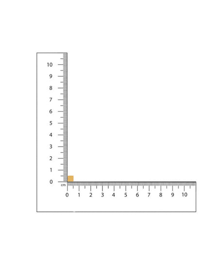 Ruby Raang Golden Square Studs