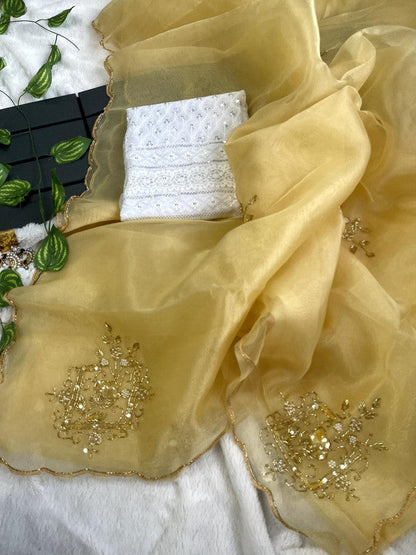 Beautiful Banarasi Designer Chiffon Saree