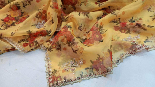 Beautiful Designer Organza Saree