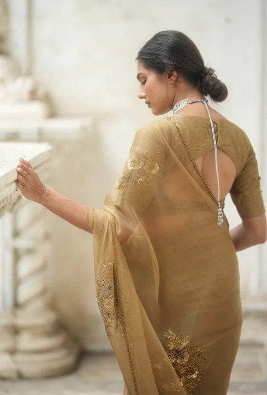Designer organza Saree with Custom Blouse