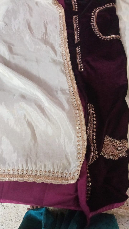 Exclusive Tissue Organza Beautiful White Saree