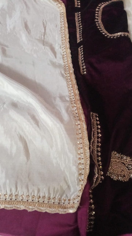 Exclusive Tissue Organza Beautiful White Saree