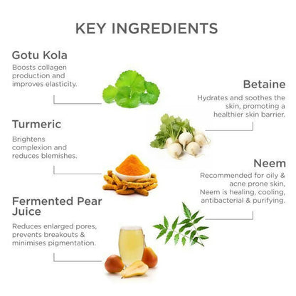 Forest Essentials Balancing Night Cream with Gotu Kola, Neem & Pear Juice Ferment